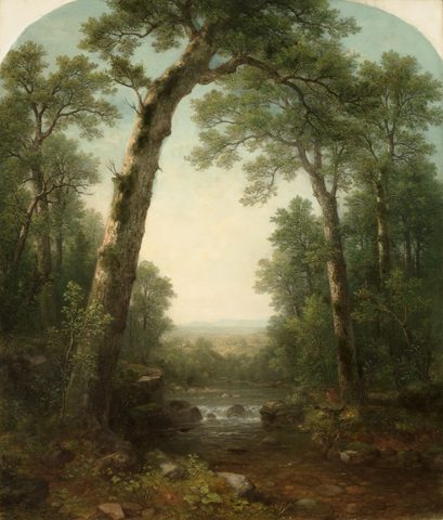 Forest Stream with Vista by Asher B. Durand — large framed print