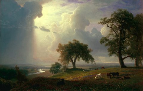 California Spring by Albert Bierstadt — large framed print