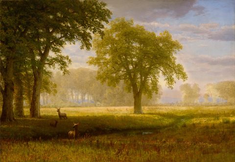 Elk in an Oak Grove (Tuolumne Meadows) by Albert Bierstadt — large framed print