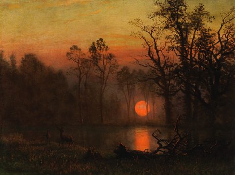 Sunset Over the Plains (Deer in a Sunset Landscape) by Albert Bierstadt — large framed print
