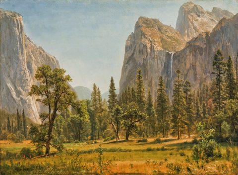 Bridal Veil Falls, Yosemite Valley, California by Albert Bierstadt — large framed print