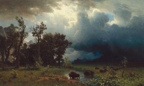 Buffalo Trail: The Impending Storm by Albert Bierstadt — large framed print