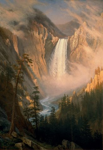 Yellowstone Falls by Albert Bierstadt — large framed print