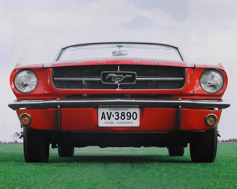 Mustang by Ford Photo Department — large framed print