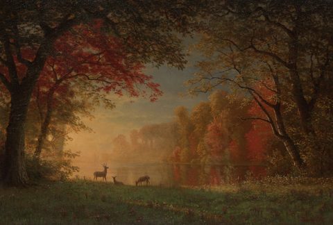 Indian Sunset: Deer by a Lake by Albert Bierstadt — large framed print