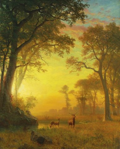 Light in the Forest by Albert Bierstadt — large framed print
