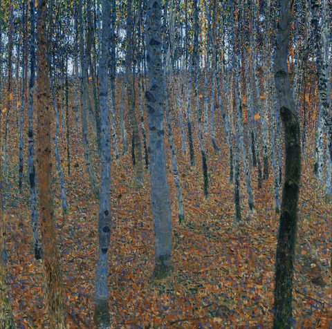 Beech Grove I by Gustav Klimt, c. 1902, framed print