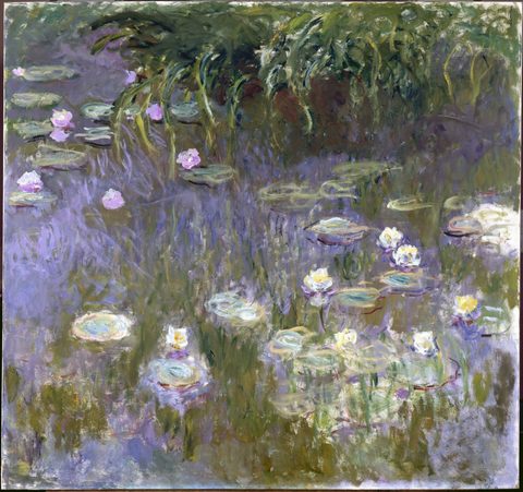 Water Lilies by Claude Monet, c. 1922, framed print