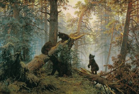 Morning in a Pine Forest by Ivan Shishkin — large framed print