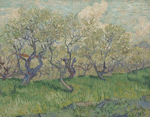 Orchard in Blossom by Vincent van Gogh, 1889, framed print