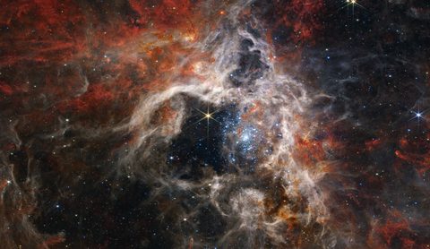 Tarantula Nebula by NASA / ESA / CSA / STScI — large framed print