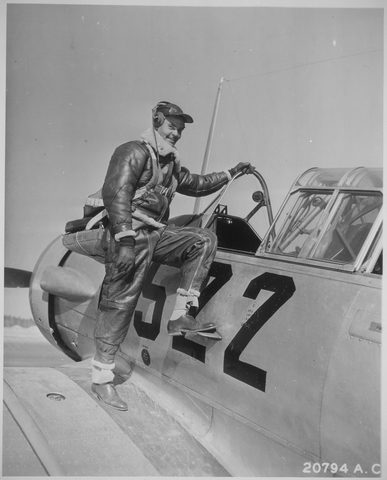 Benjamin O. Davis Jr. by U.S. Army Air Forces — large framed print