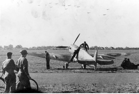 303 Squadron by Polish official — large framed print